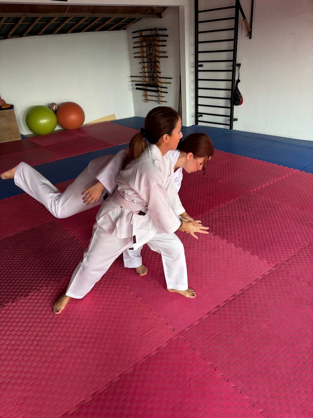 T E R A K O Y A DOJO