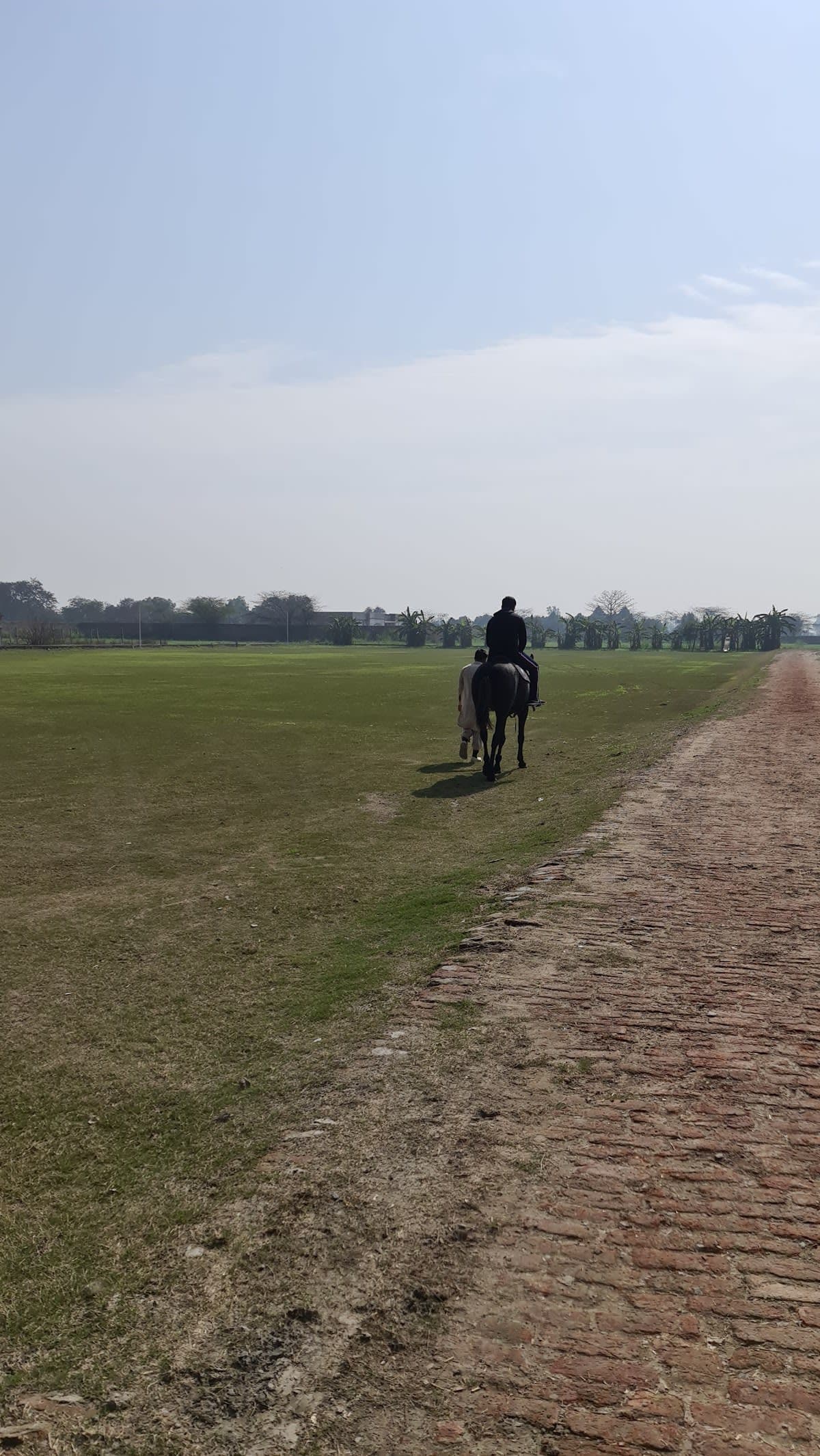 Zacky Farms Polo Club