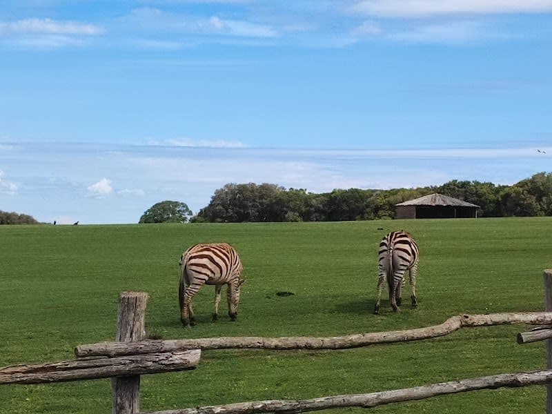 Safari Park, Brijuni