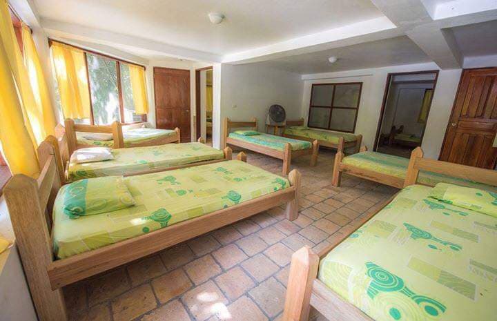 Jungle River Lodge